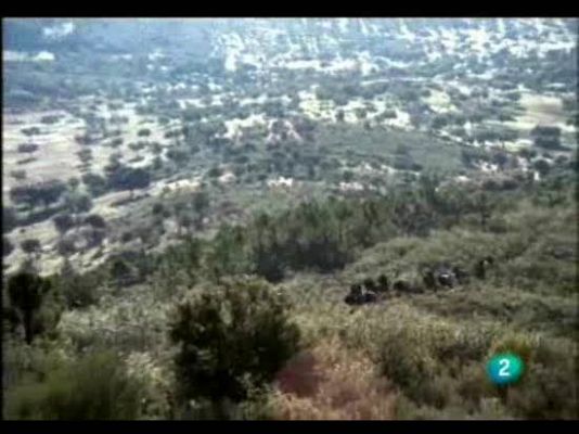 El hombre y la Tierra - La caza del jabalí