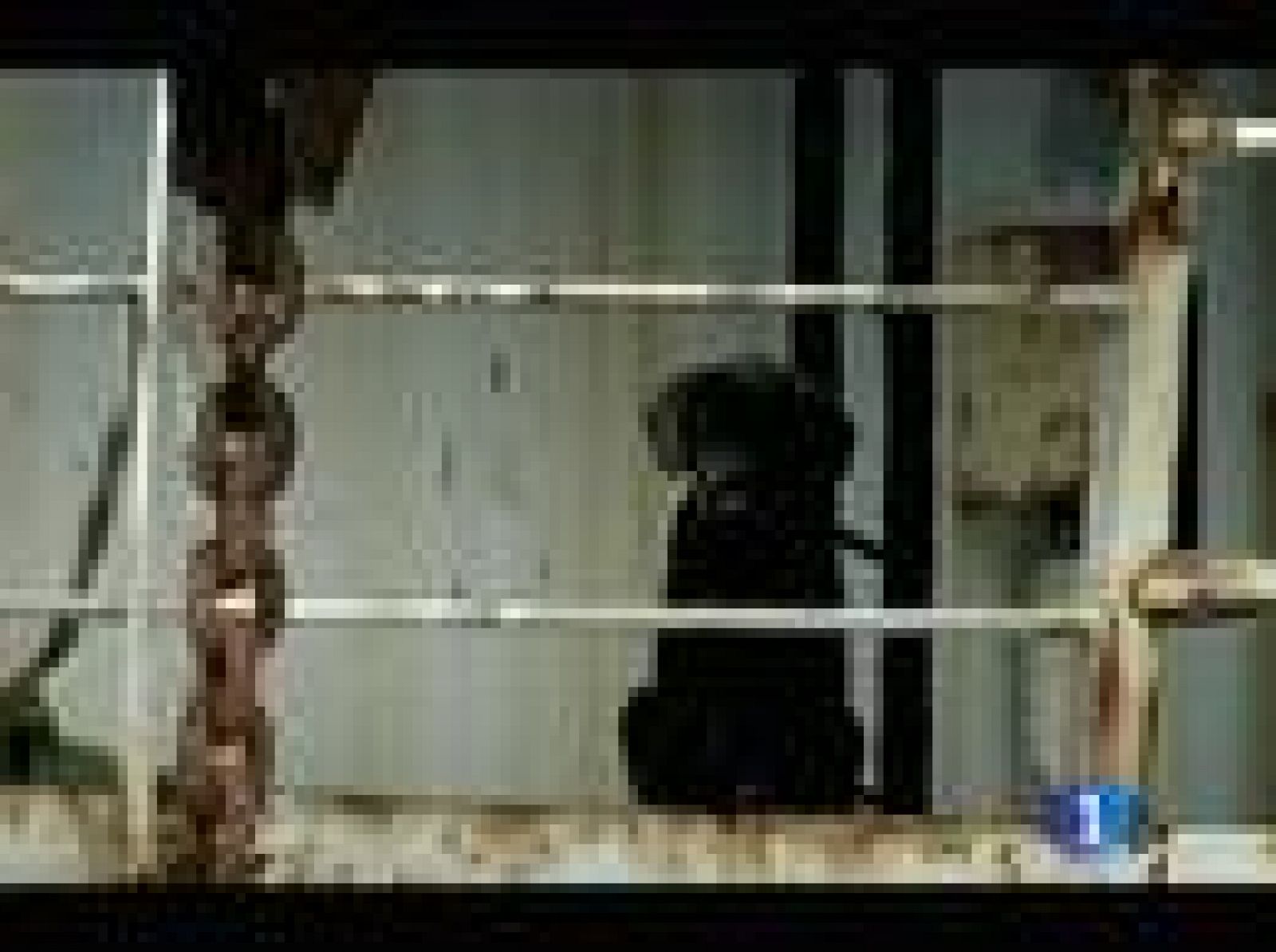 Cuando desapareció la Unión Soviética, su flota pesquera quedó abandonada en diferentes puertos del mundo | Ver