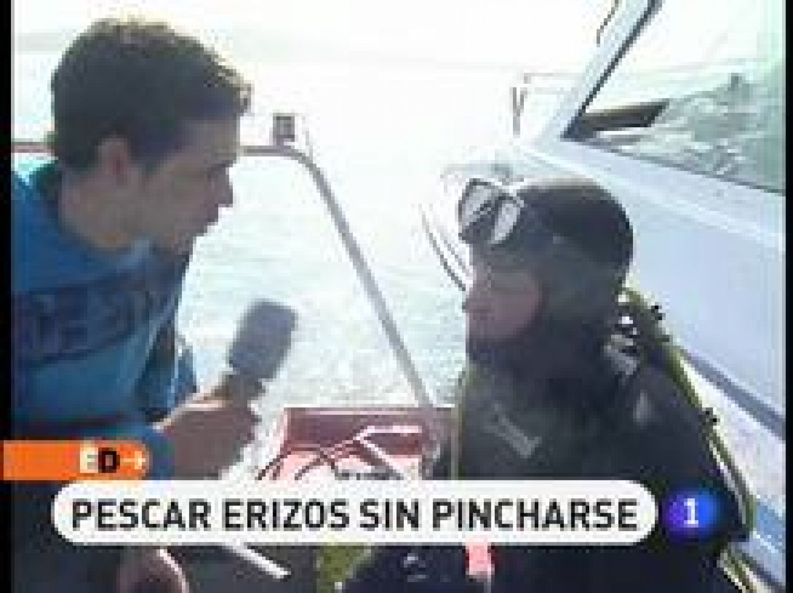 A ocho metros de profundidad están los erizos.  Y su pesca es laboriosa. Con bombona o a pulmón, los pescadores se sumergen para su captura allí donde se juntan las rías altas y las bajas, donde, dicen, se encuentran los mejores manjares. 