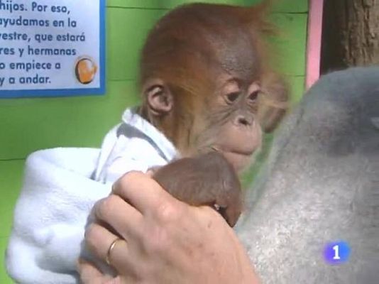 TeleCantabria - Telecantabria - 08/04/10