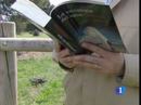  - Vuelven Bevilacqua y Chamorro