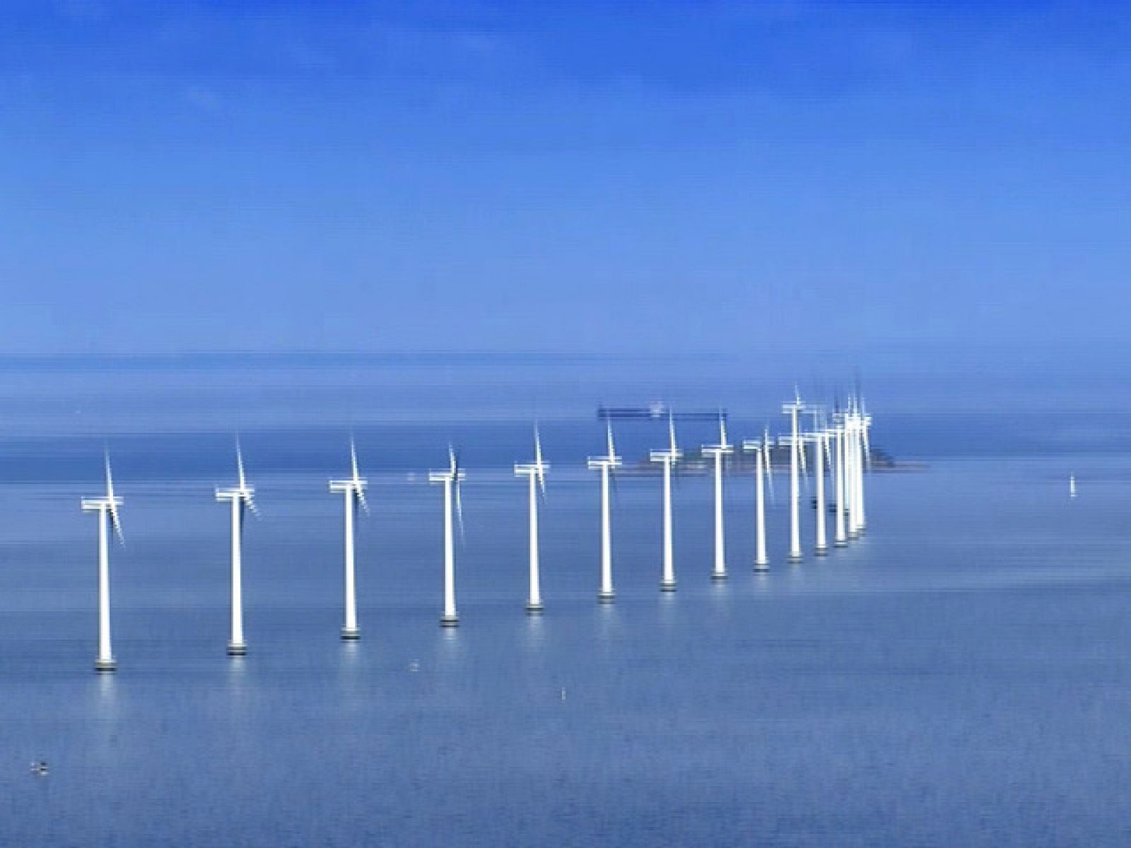 El escarabajo verde (08/04/10): Contra viento y marea