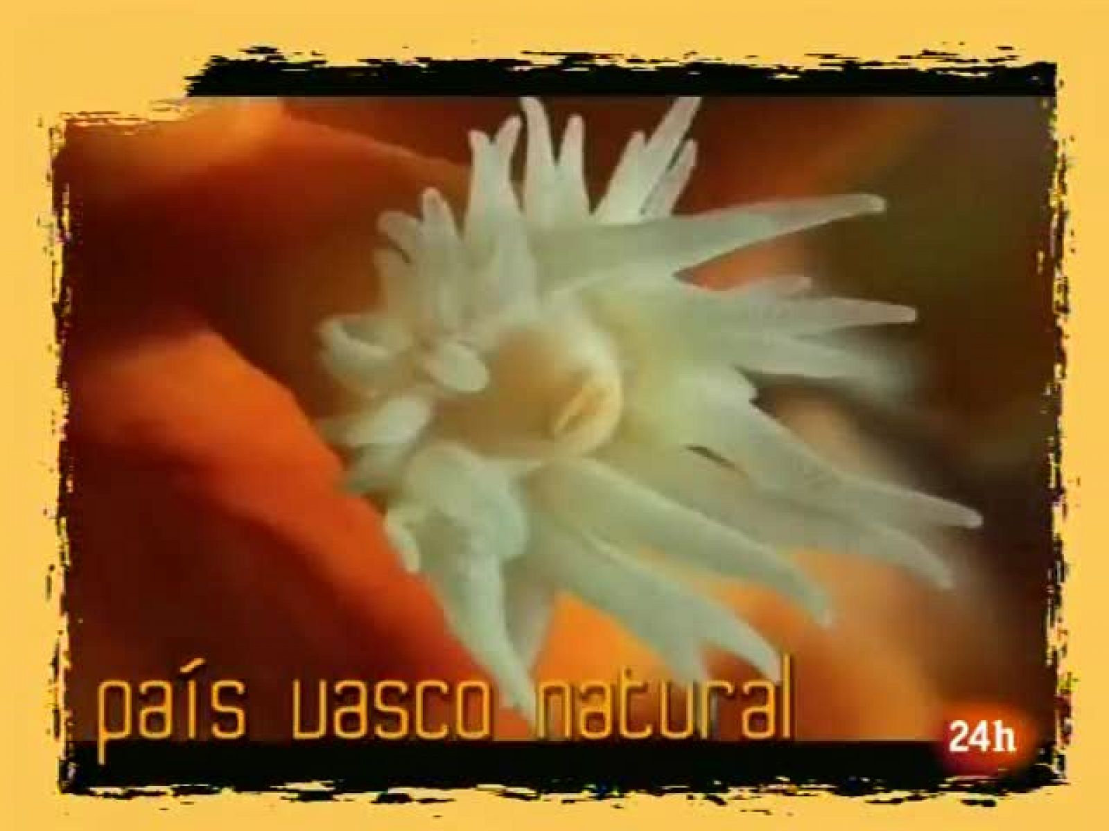 NATURAL: Diversidad Forestal. (09/04/10)