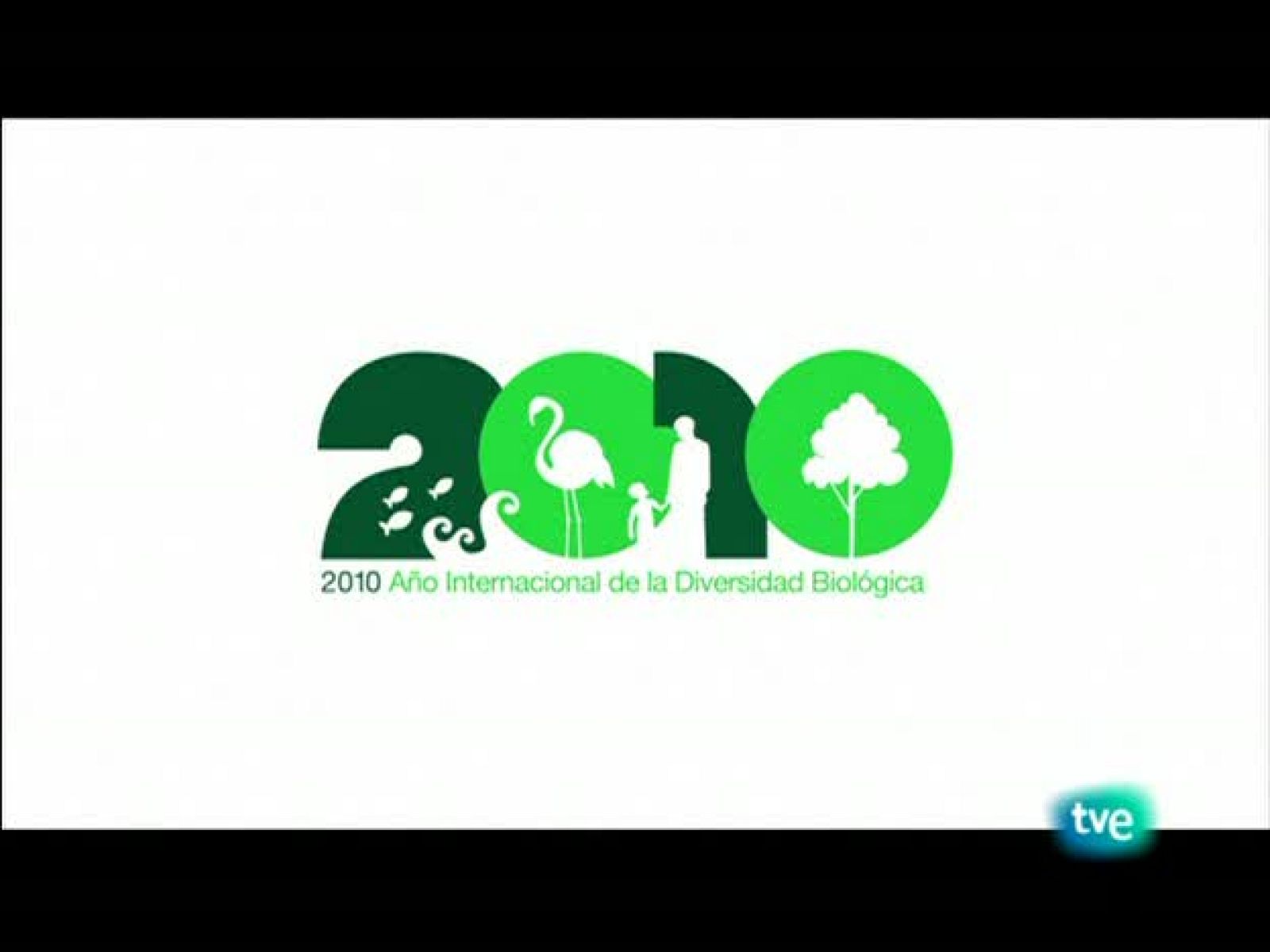   Serie: Biodiario. Dirección: Luis Miguel Domínguez. Sinópsis: La garcilla bueyera. La unión hace la fuerza en nuestro mundo y en el de los animales: bueyes y garzas especializadas en capturar insectos. 
