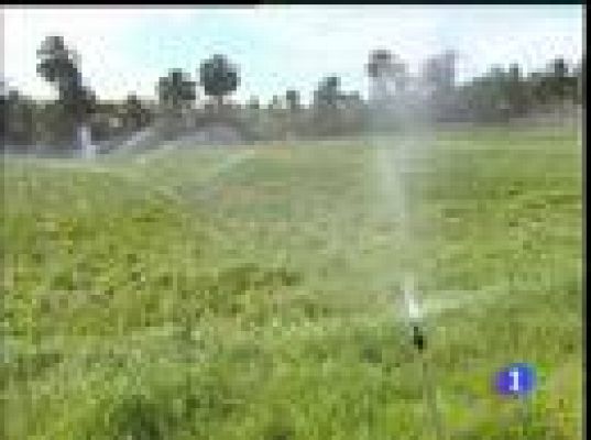  - El precio de las verduras