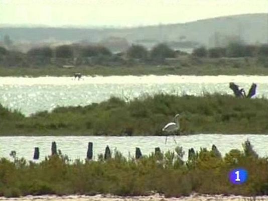 Doñana, 40 años de Parque Natural