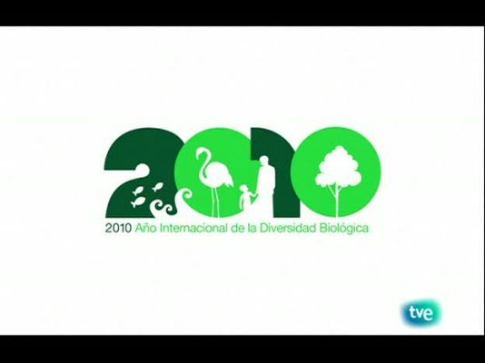 Biodiario - El corzo