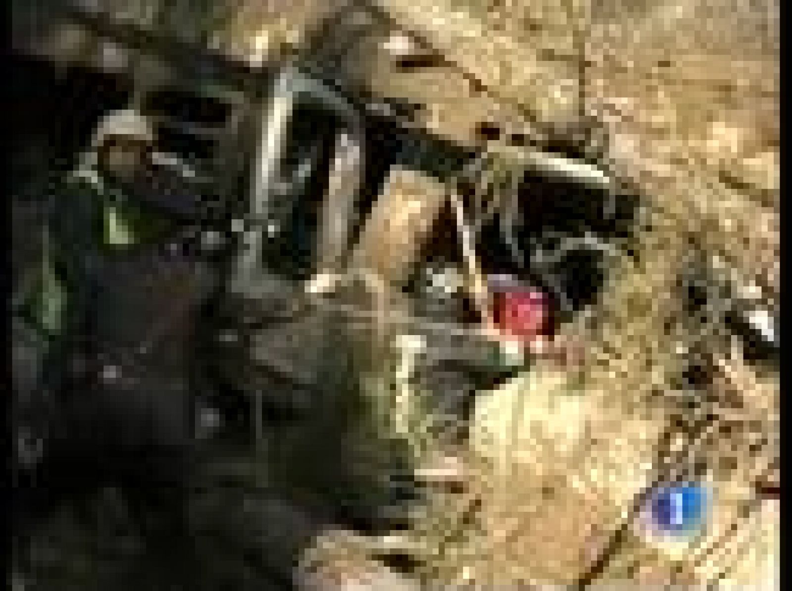 En Italia ya son nueve los muertos por un accidente de tren y entre los 28 heridos hay siete muy graves | Ver