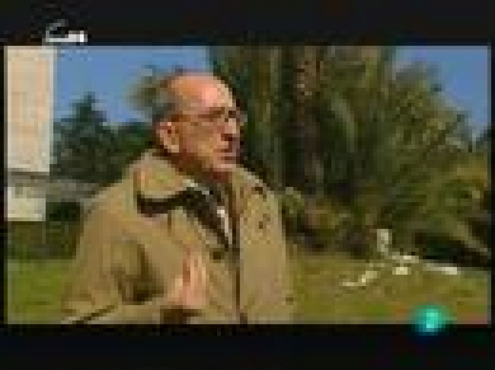 Pedro Marijuan (humor)