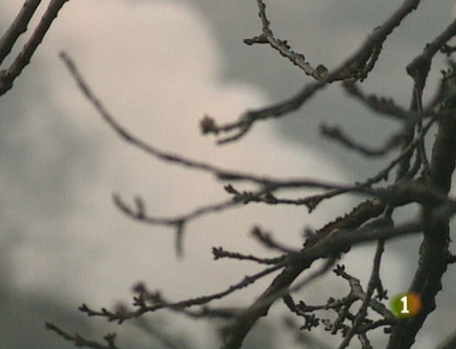 Panorama regional - 13/04/10 - Panorama Regional | Ver