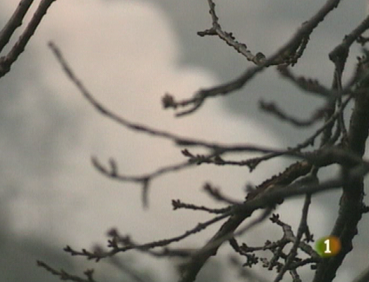 Panorama Regional - Panorama regional - 13/04/10