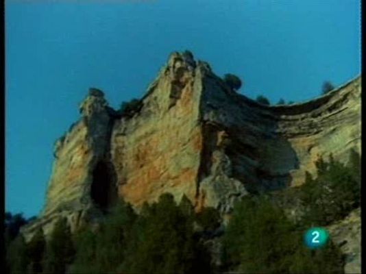 El hombre y la Tierra - Cría de polluelos de águilas