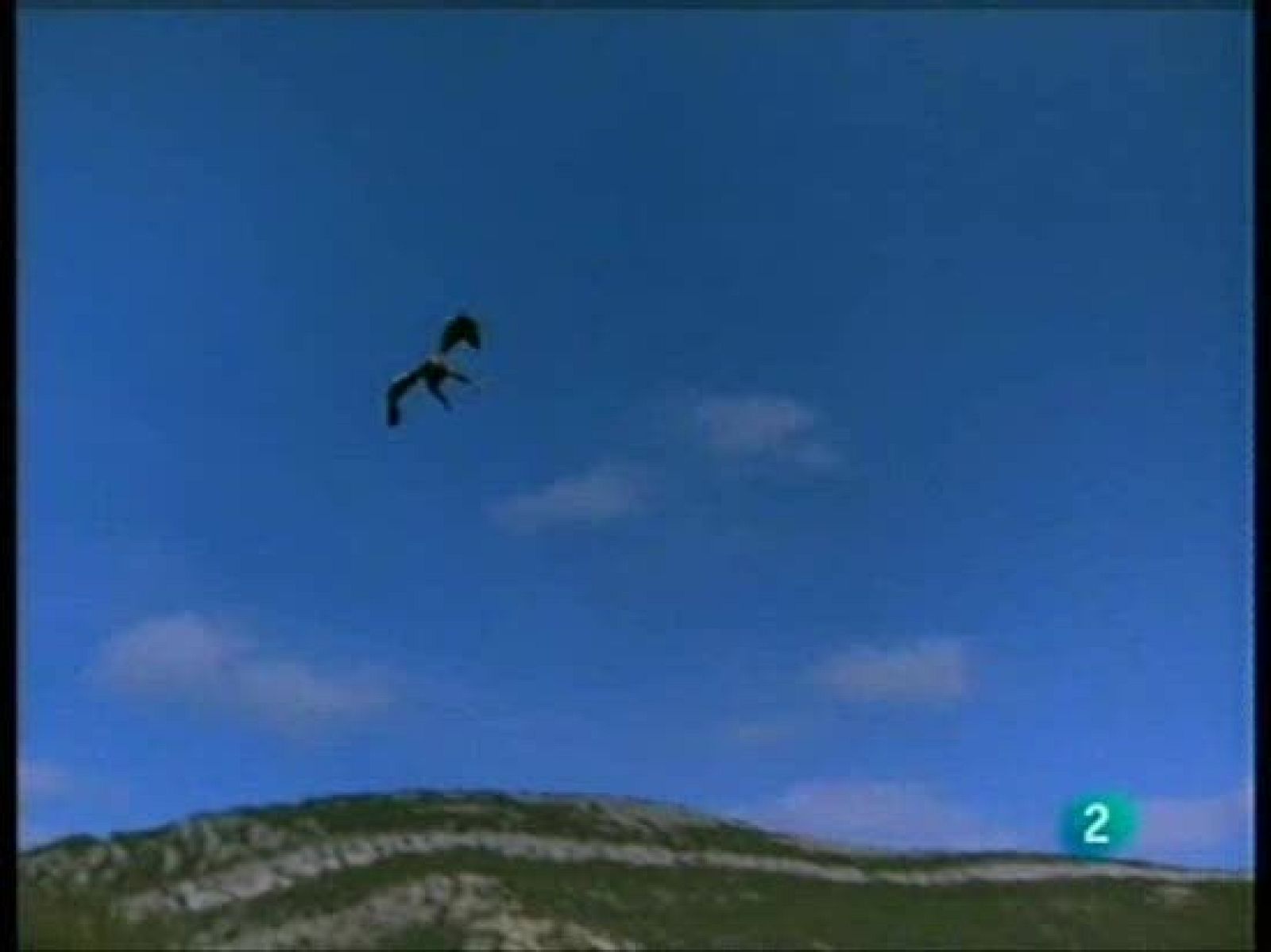 El águila imperial, una especie en peligro crítico de extinción, por Félix Rodríguez de la Fuente