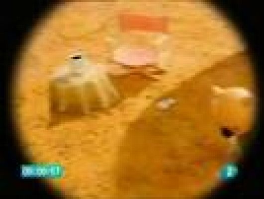  - Los hermanos Koala