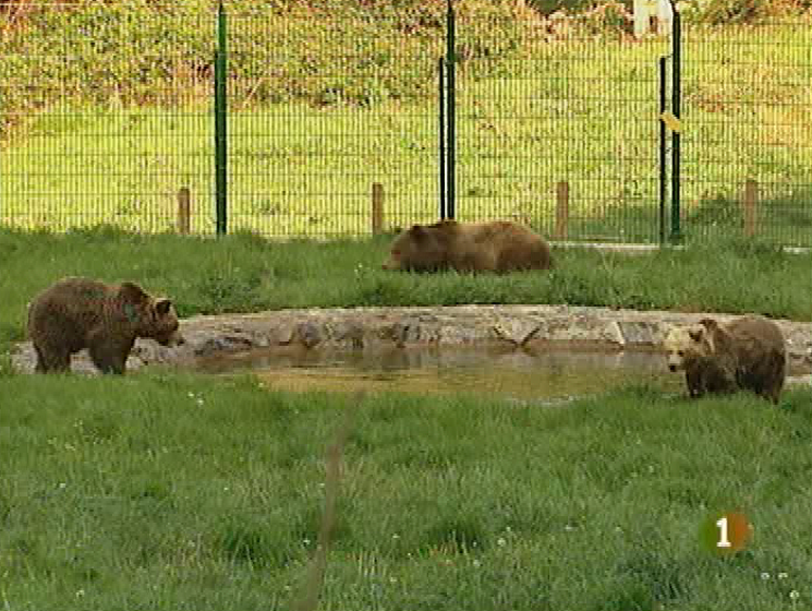 Panorama regional - 14/04/10 - Panorama Regional | Ver