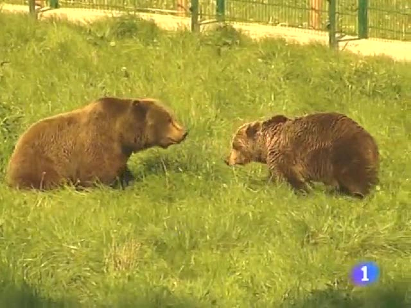  Telecantabria. (14/04/10)