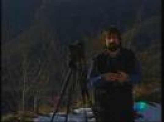 Para todos La 2 - ONG: World Nature