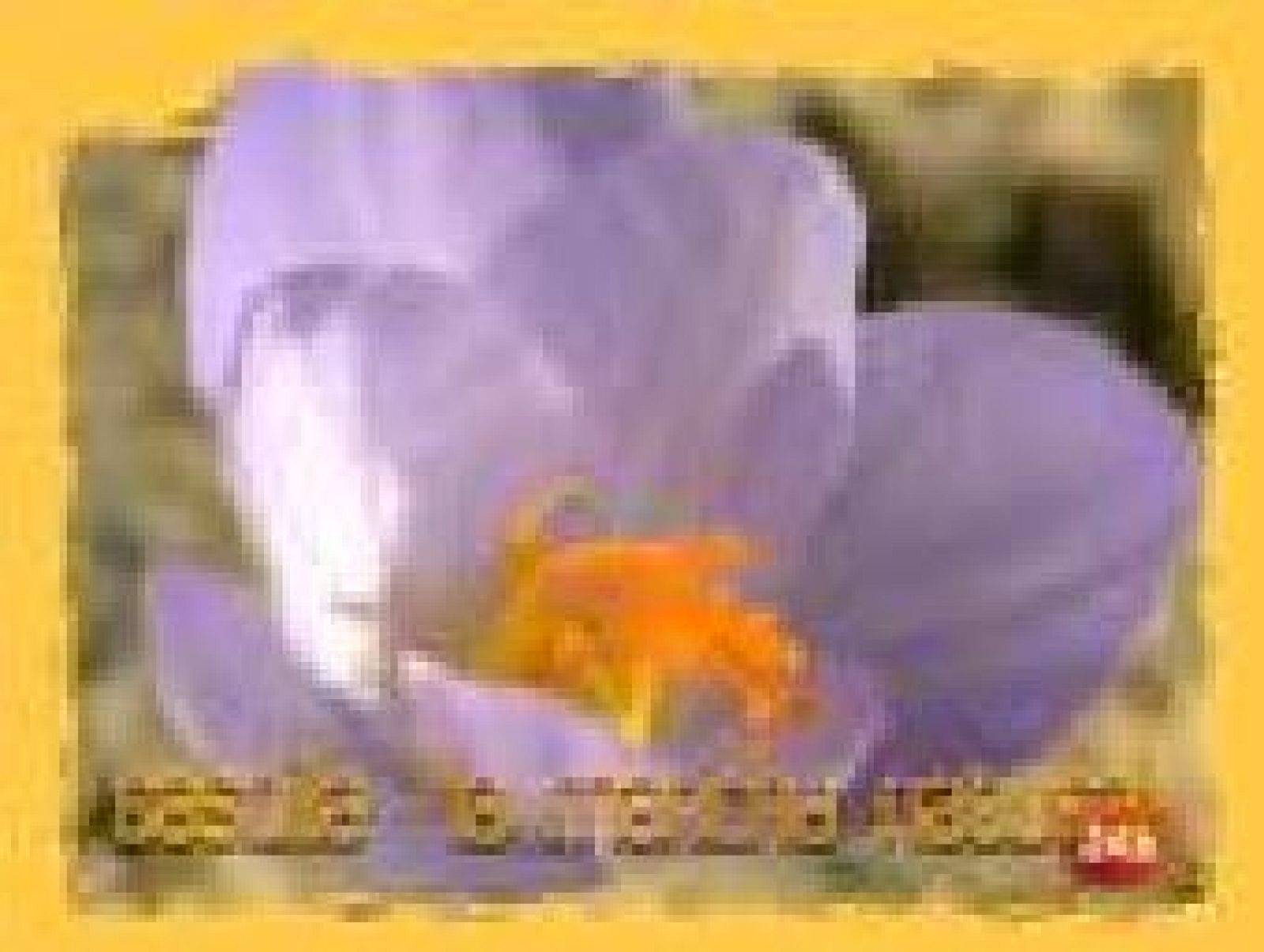 NATURAL : La ciencia de la supervivencia. (16/04/10)