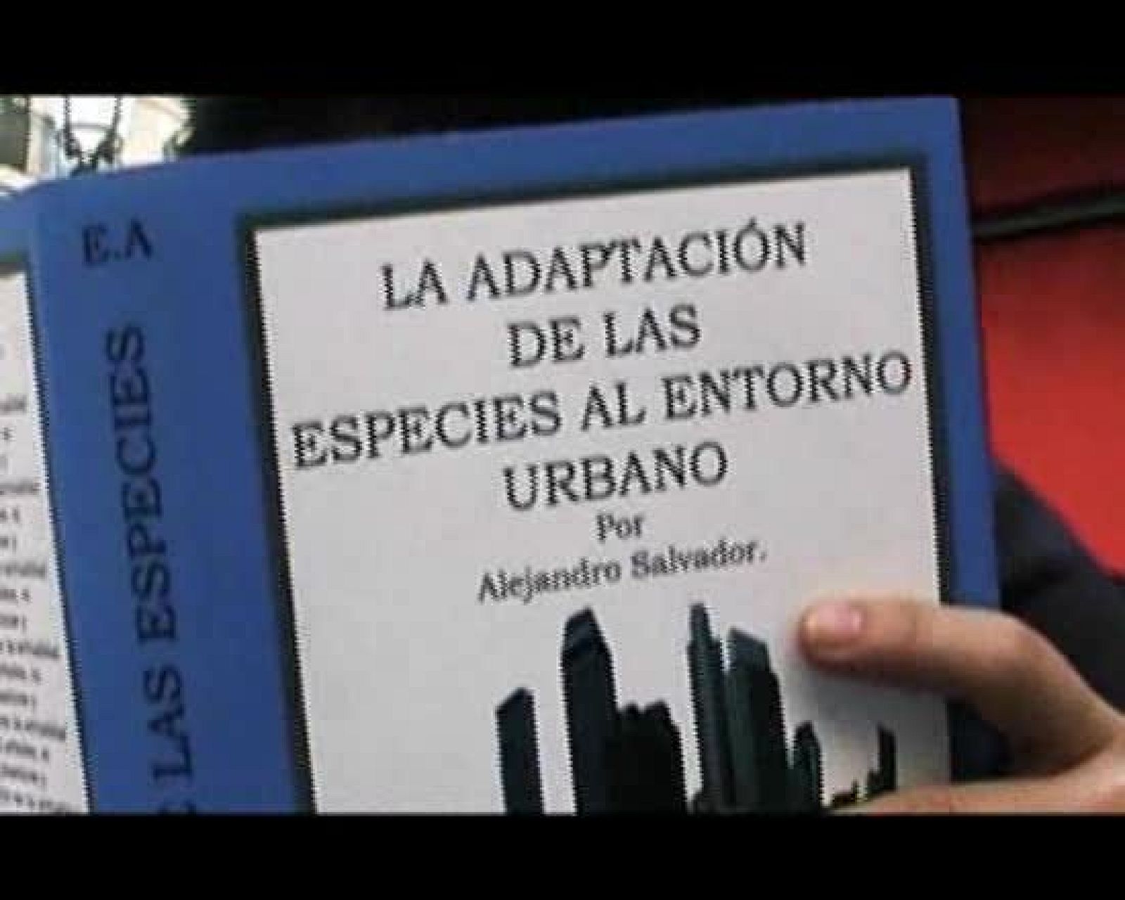 Ráfaga 267 - Mímesis | Ver