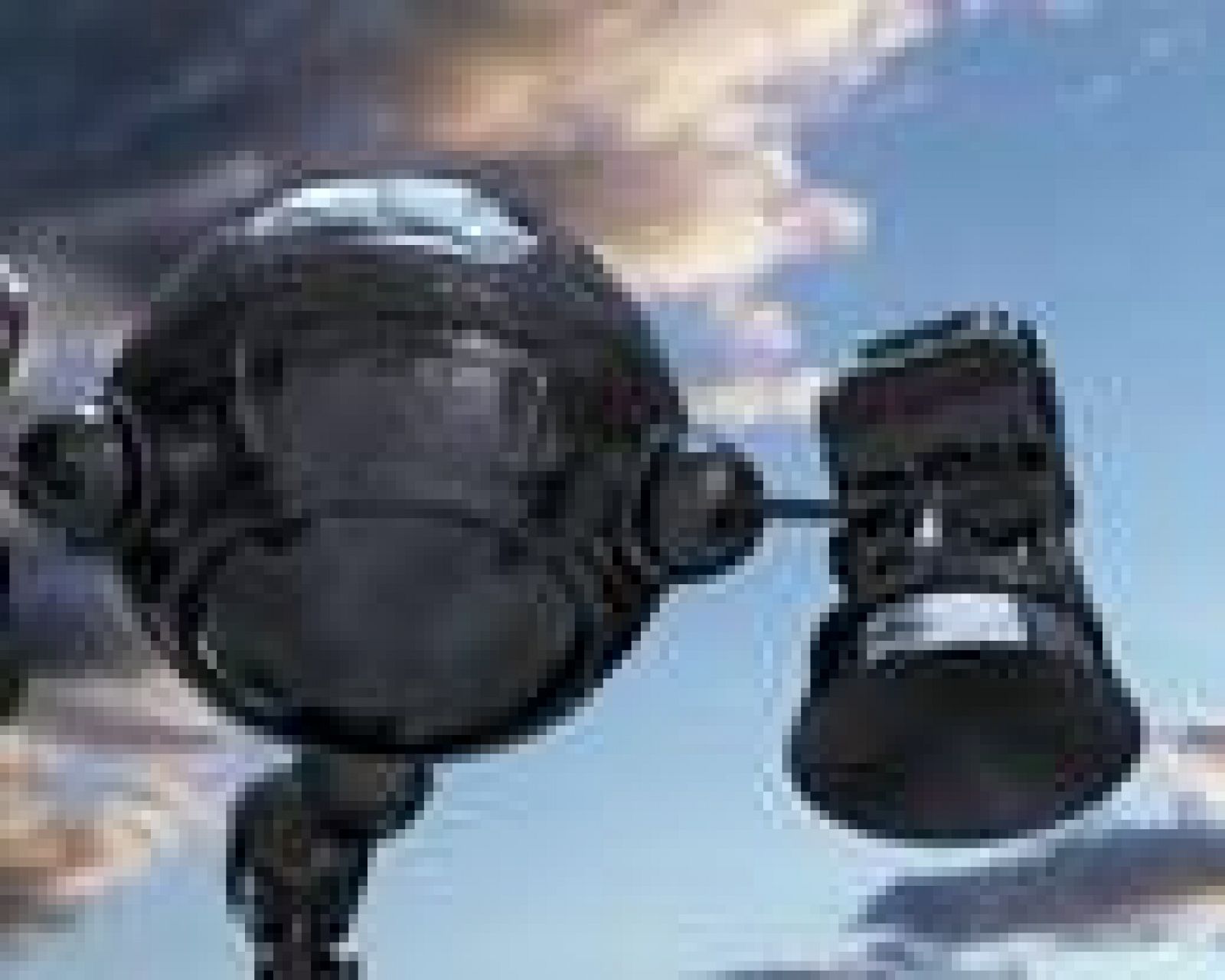 Ráfaga 293 - El último mono | Ver