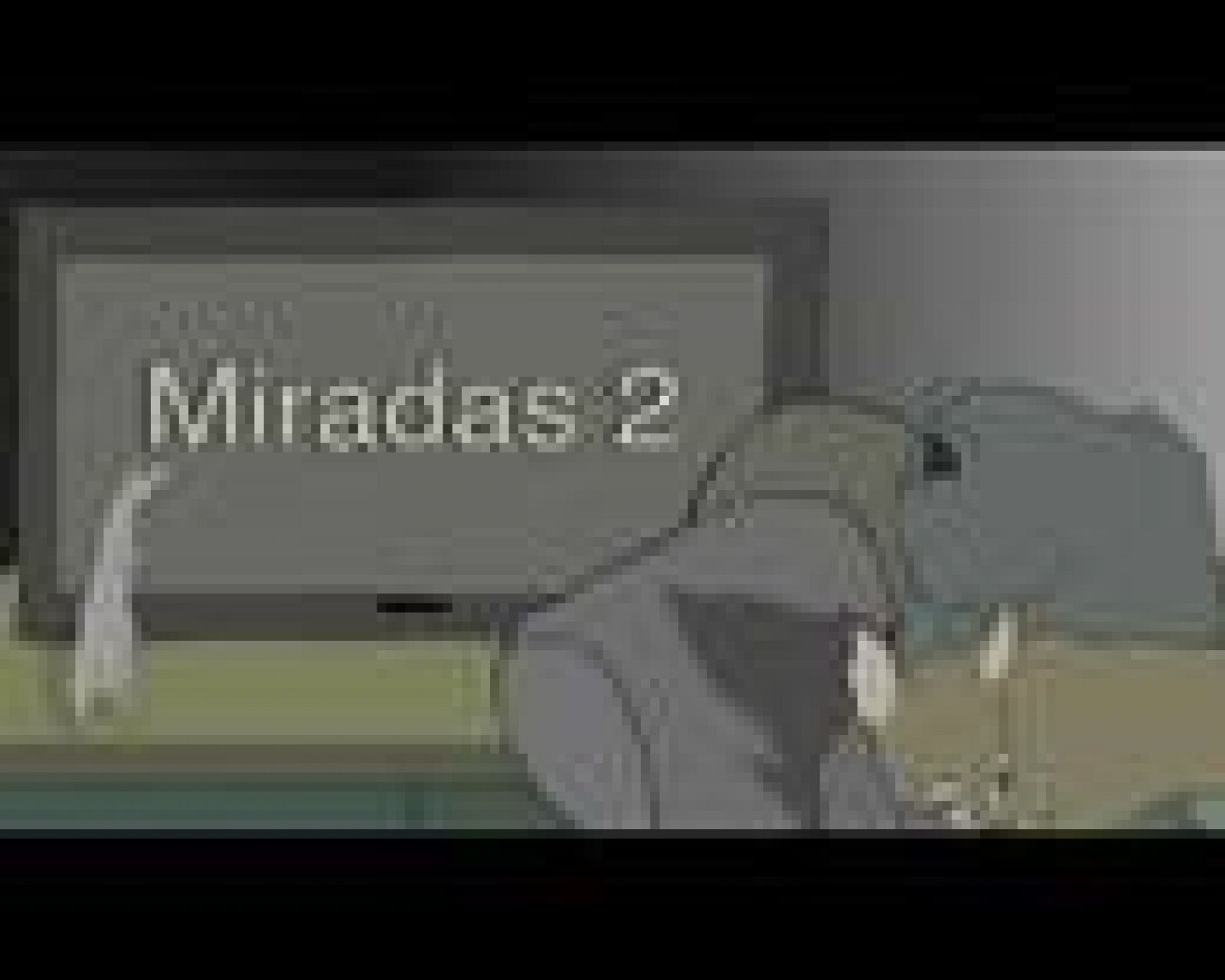 Miradas 2: Ráfaga 302 - Dog cat | RTVE Play