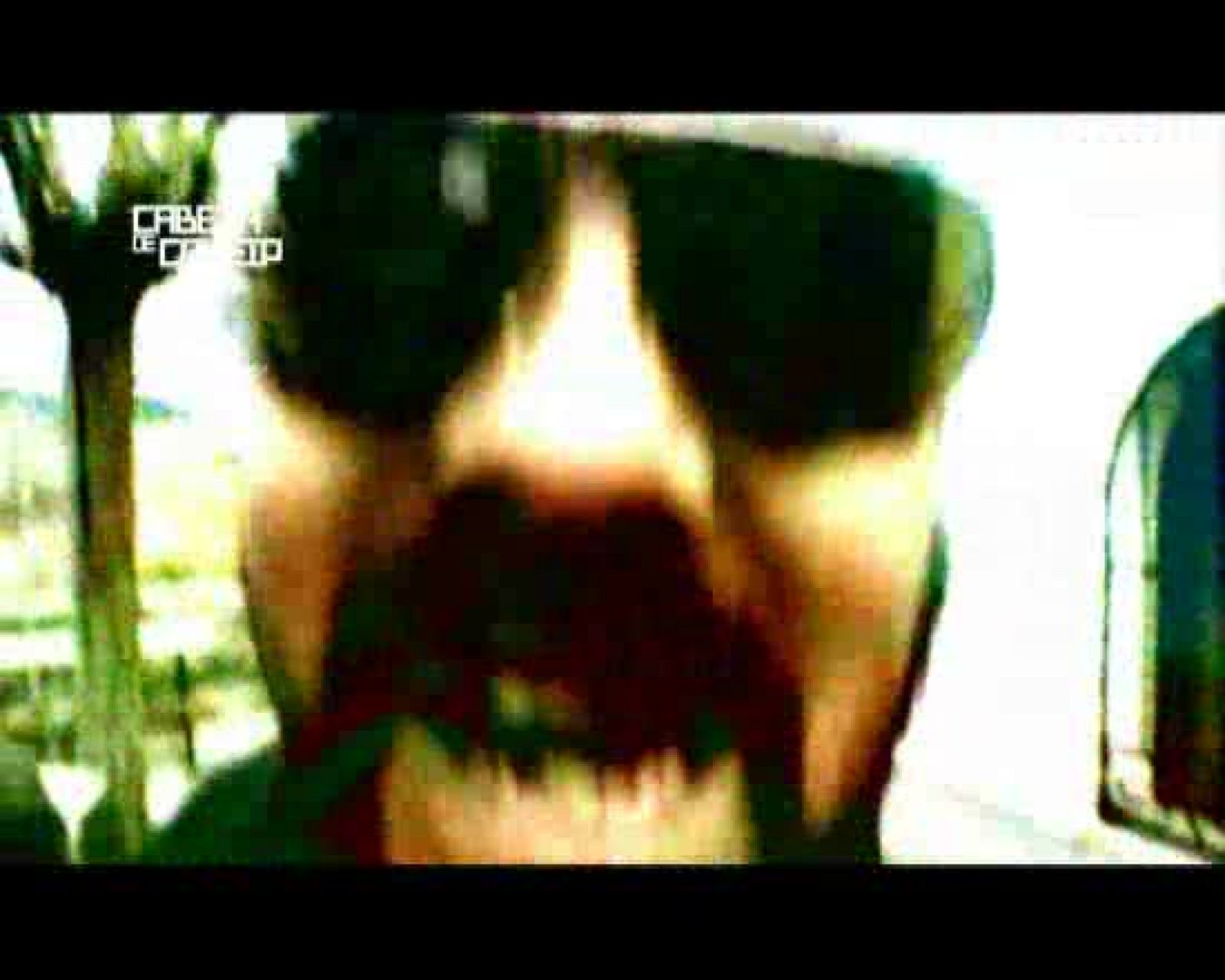 Ráfaga 323 - Cabeza de conejo | Ver