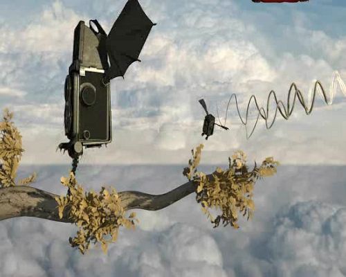 Miradas 2 - Ráfaga 386 - Campo de signos