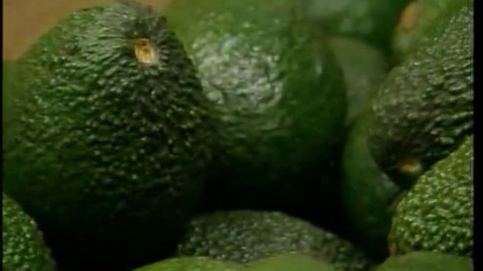 A pedir de boca - Frutas tropicales de Granada