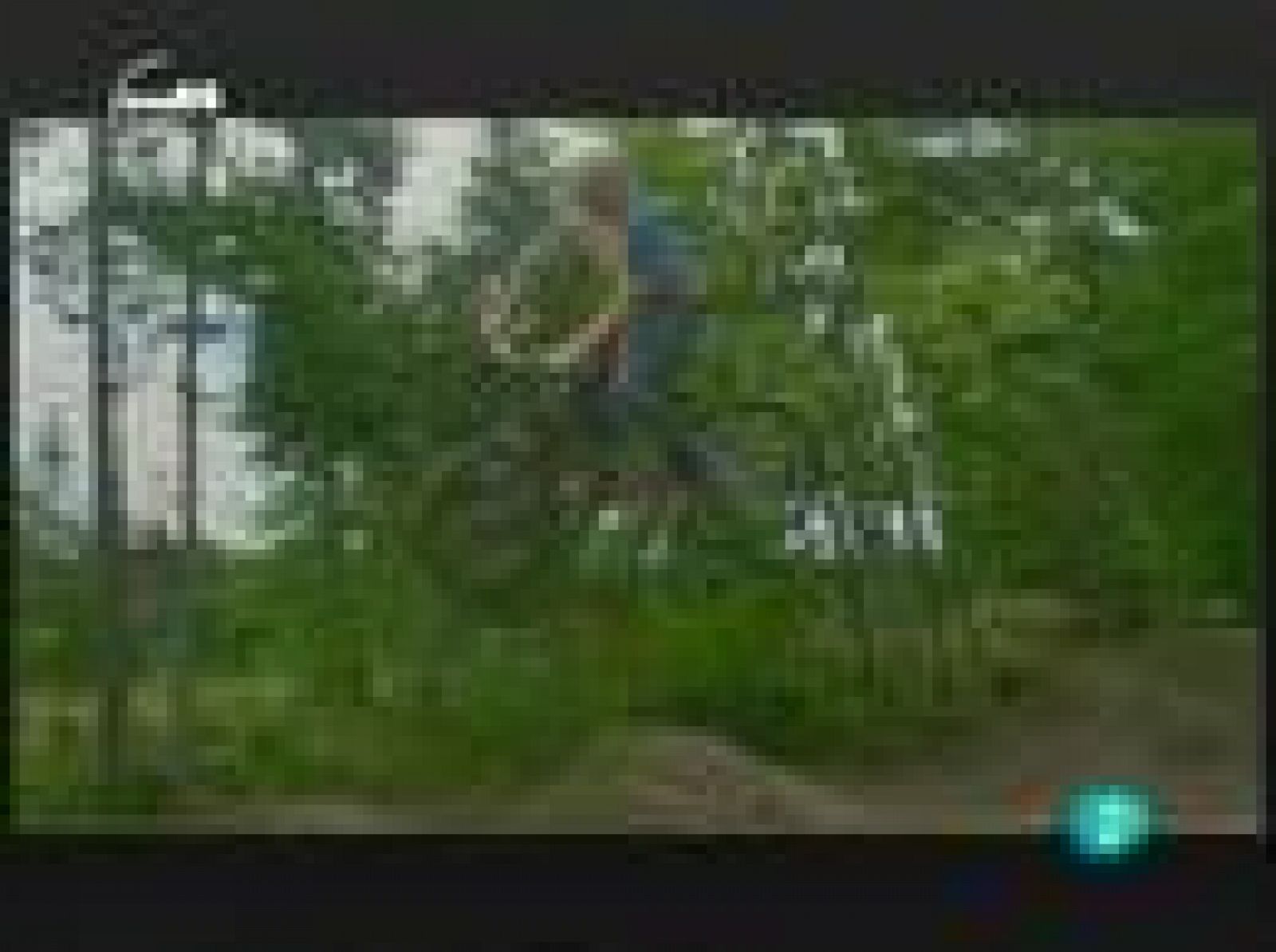 Últimas noticias (deportes)