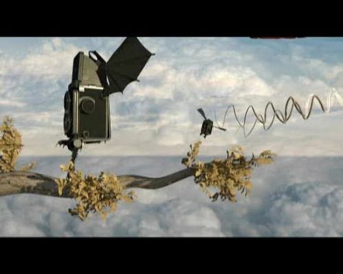 Miradas 2 - Ráfaga 386