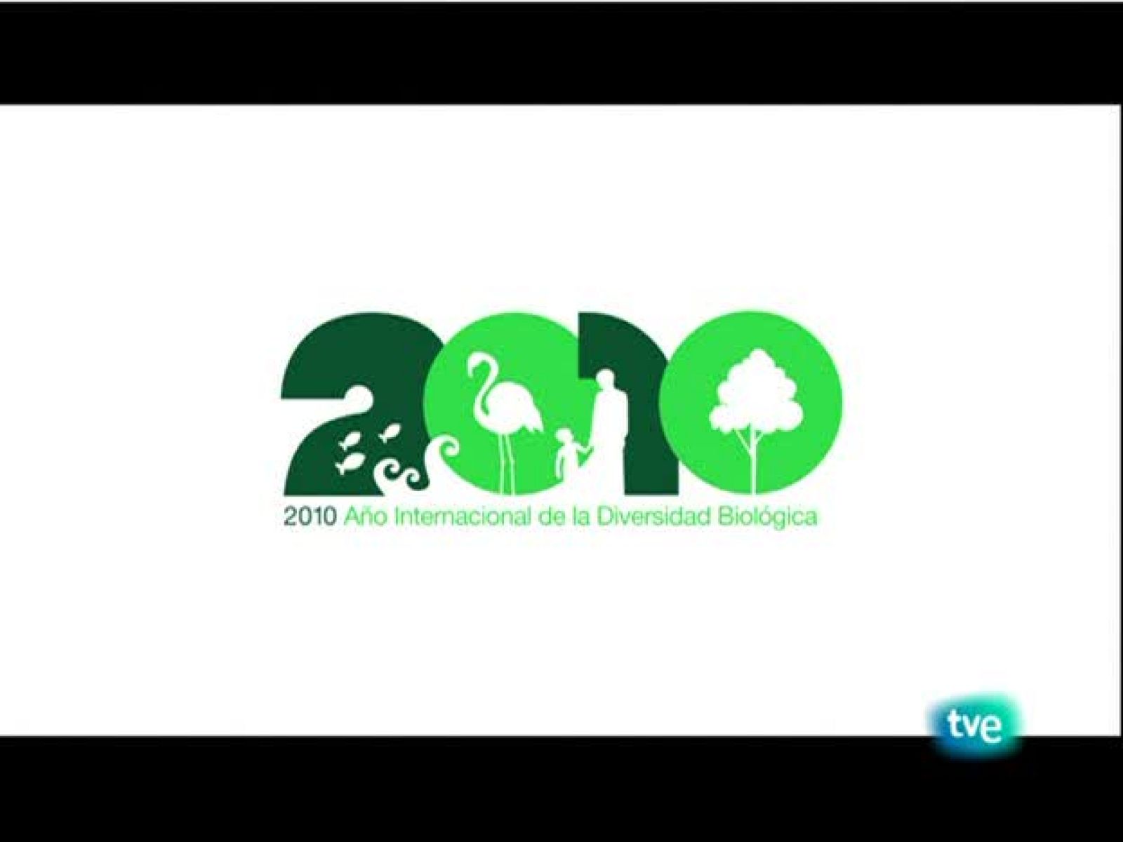 Biodiario - El abejaruco - Biodiario | Ver