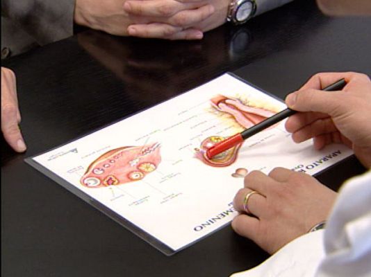 Ciencia y tecnología en Rtve.es - Reproducción asistida