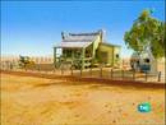  - Los hermanos Koala