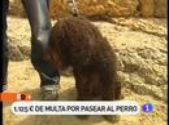 Multa por pasear al perro