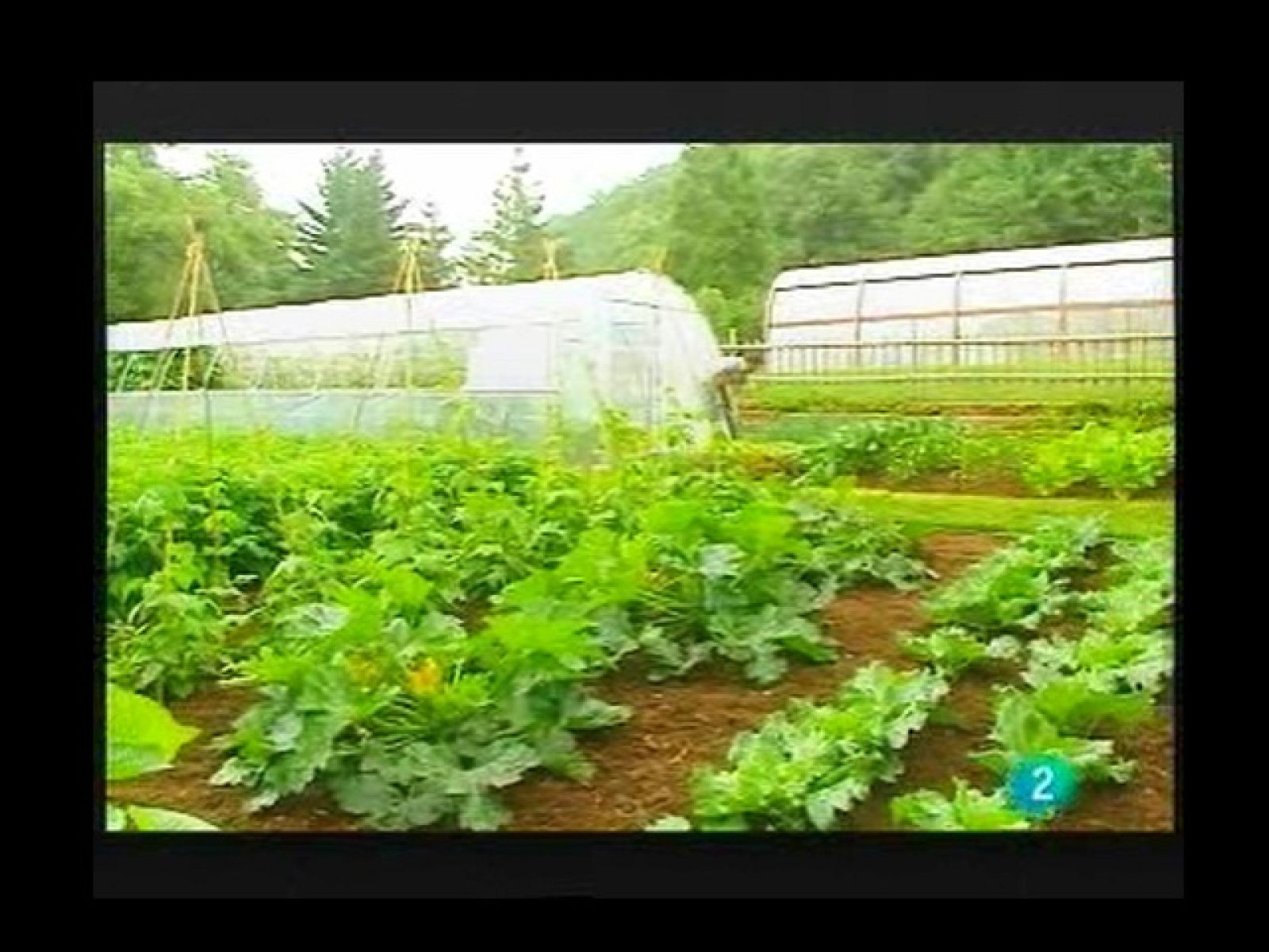 Terra Verda: Productes Eco ( 24/04/2010)