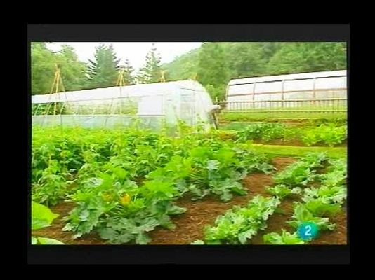 Terra Verda - Productes Eco