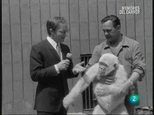 Memòries de la tele - Memòries del Carrer: José Luis Barcelona