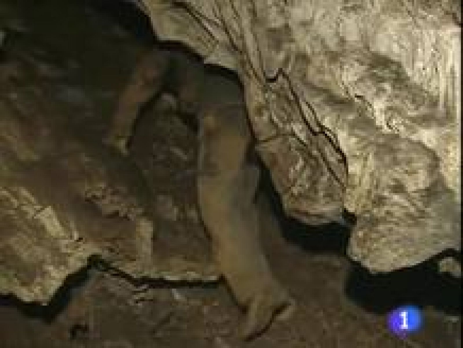 Noticias Aragón (26/04/2010)