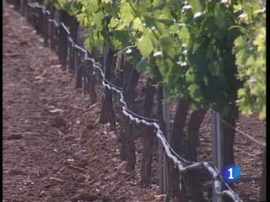  - La visión de los regantes manchegos