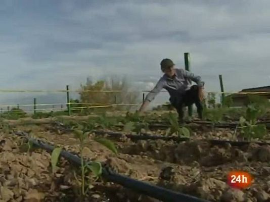 Natural - Huertos anti-estrés