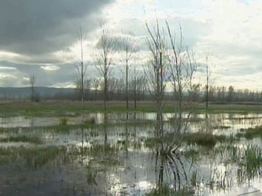 Ciencia y tecnología en Rtve.es - Recuperando la laguna de Cañizar