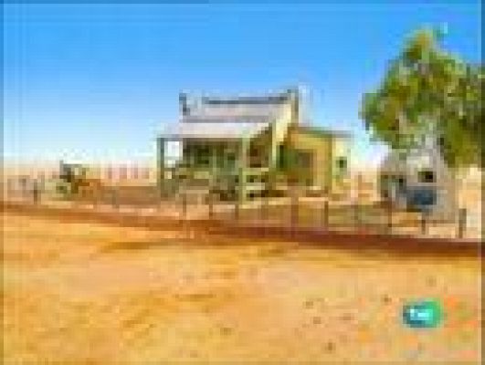  - Los hermanos Koala