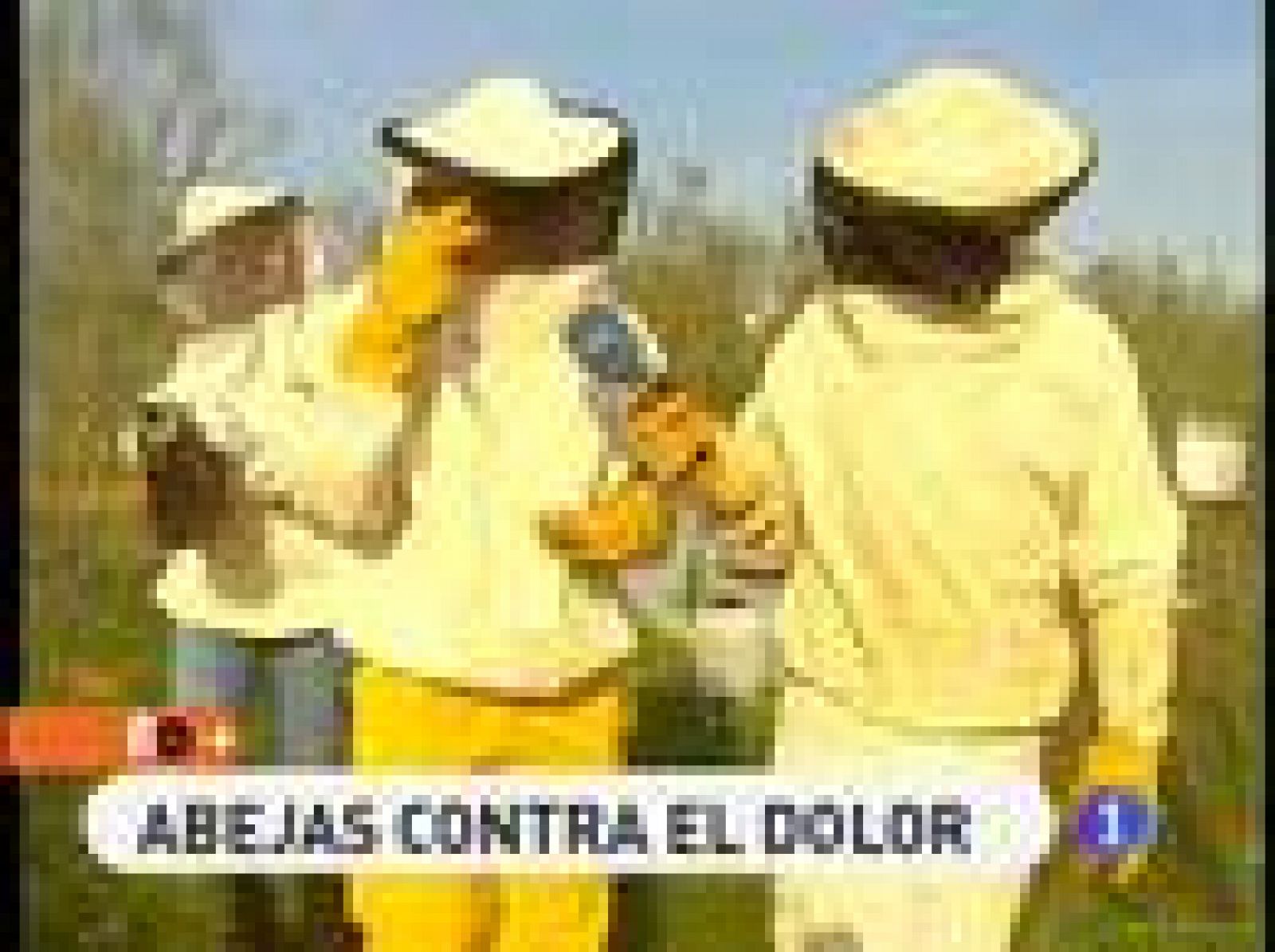 España Directo: Terapia con abejas | RTVE Play