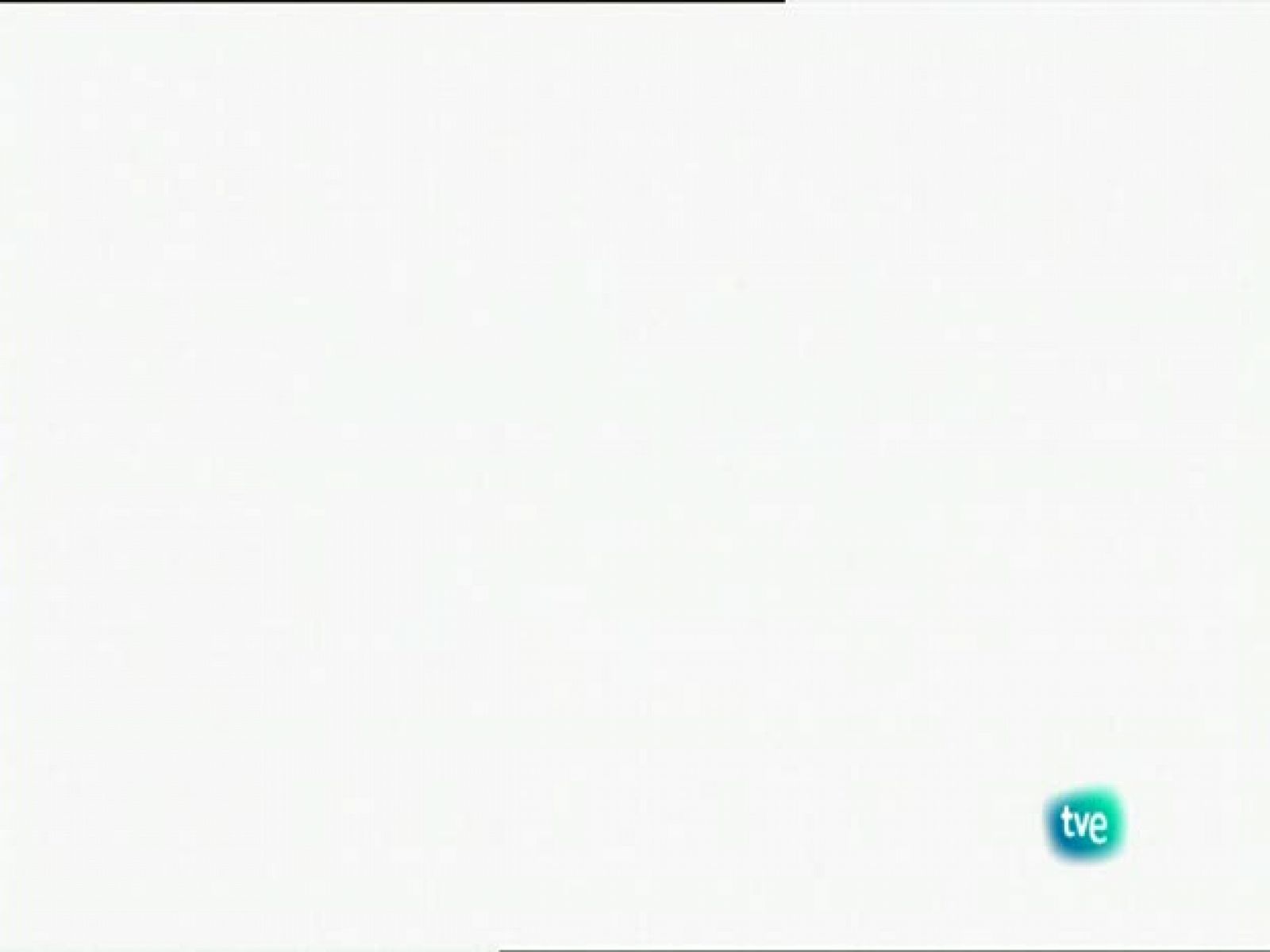 Biodiario - La gaviota picofina - Biodiario | Ver