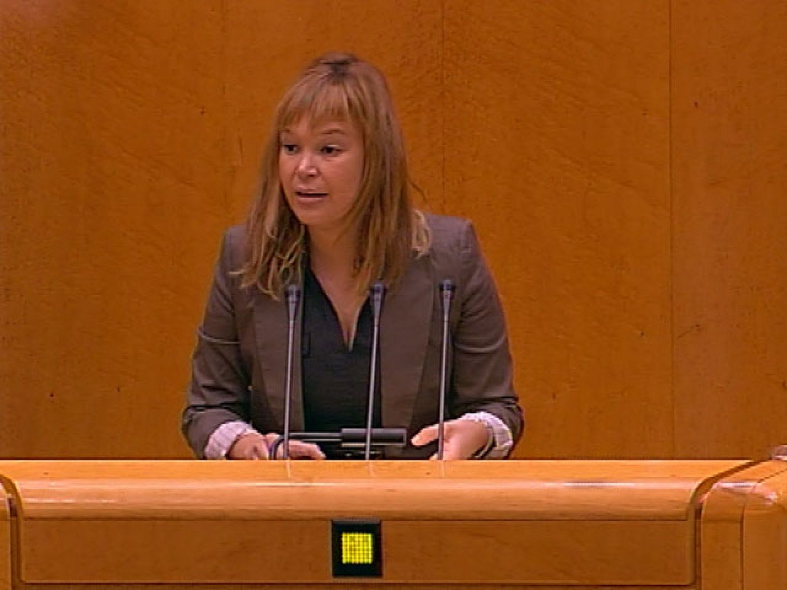 Leire Pajín comienza su intervención en el Senado hablando en euskera, valenciano y gallego | Ver