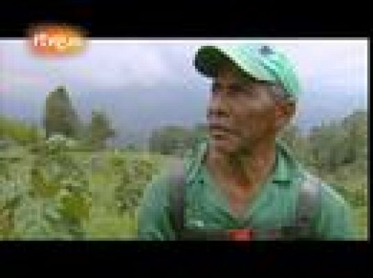 En portada - Las voces de los protagonistas