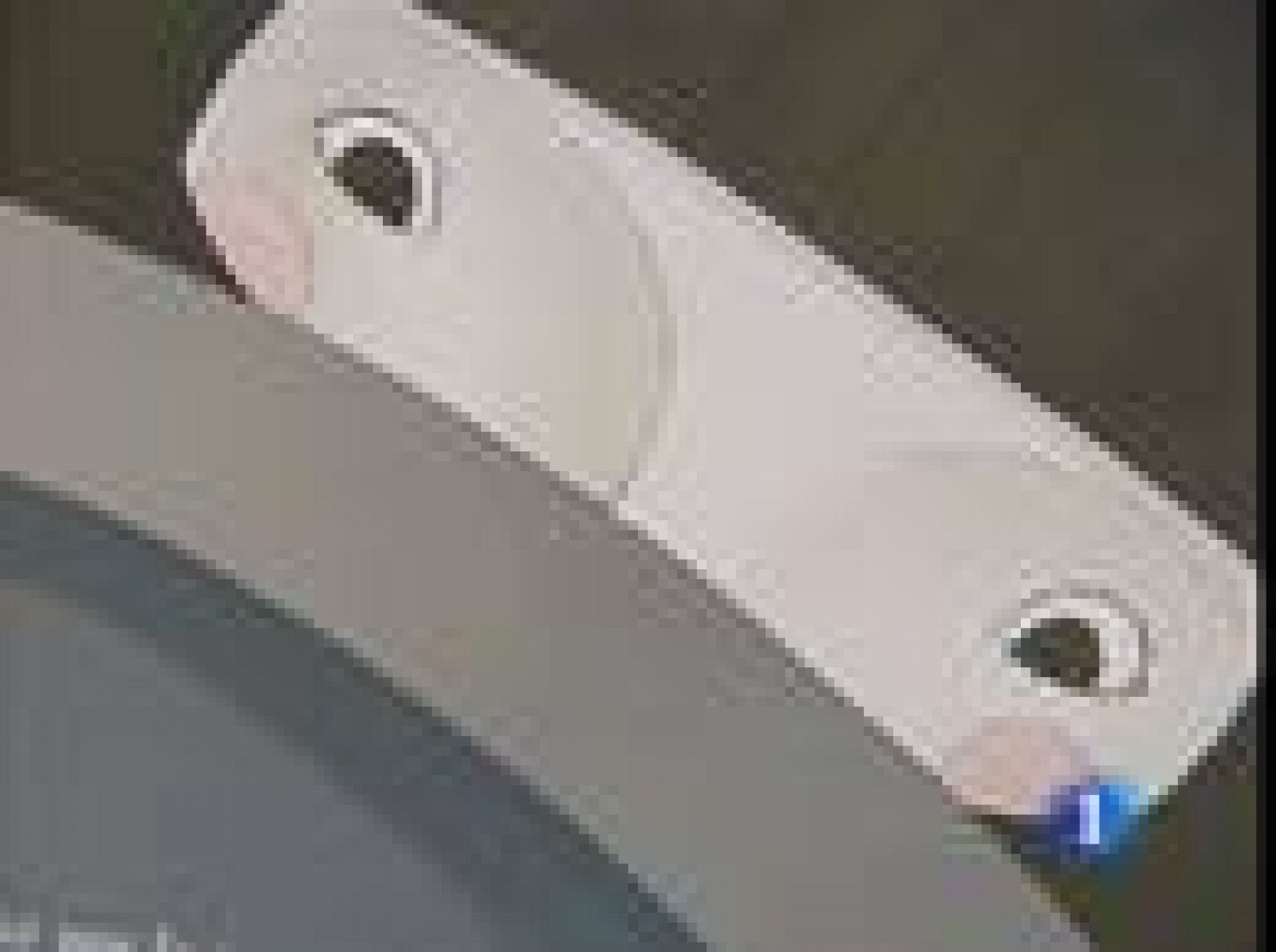 Arturo Pérez Reverte y Mario Vargas Llosa se acercan al cuento infantil | Ver