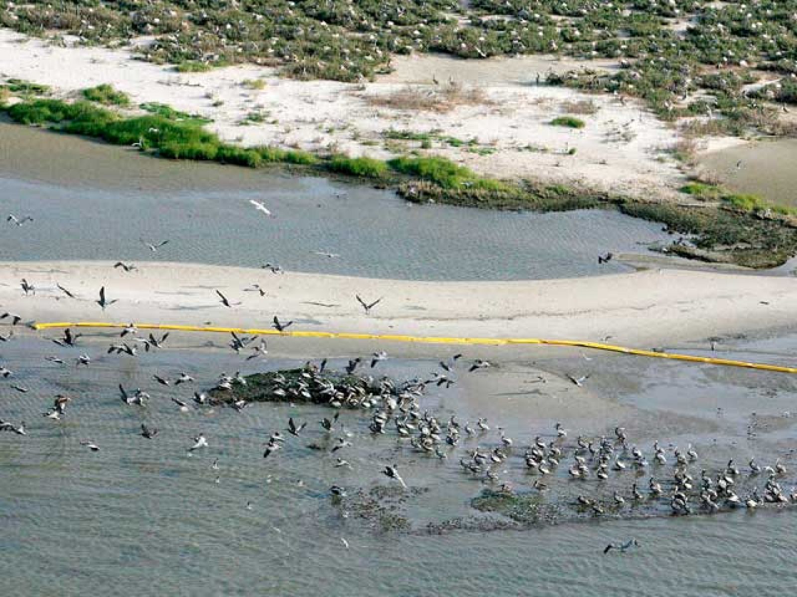 La plataforma que se hundió en el Golfo de México suelta 800.000 litros de crudo al día | Ver