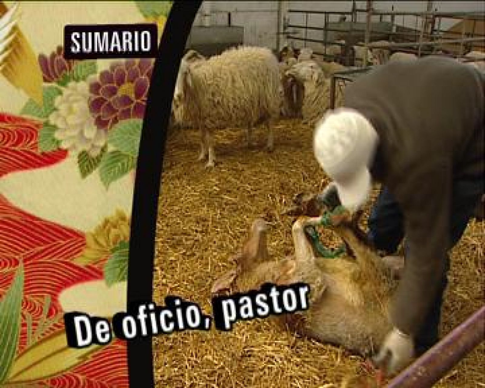 Babel en TVE (02/05/2010): De oficio, pastor