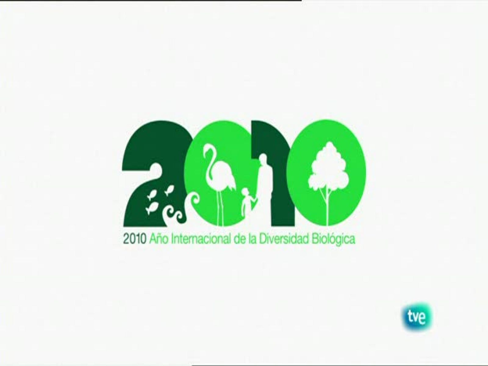 Biodiario - La canastera